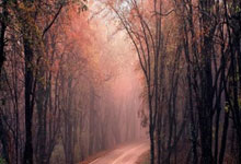 7胜2平，切尔西自2018年以来主场对热刺保持不败.