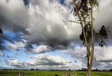 [欧冠]埃尔莫索头球攻门 胡梅尔斯自摆乌龙.