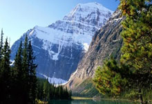 2025深港马拉松赛暨第十五届全国运动会田径（马拉松）测试赛开跑.