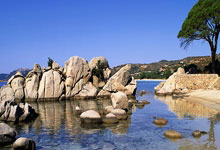 6-1轻取奥德奈尔 丁俊晖晋级国锦赛32强央视新闻客户端.